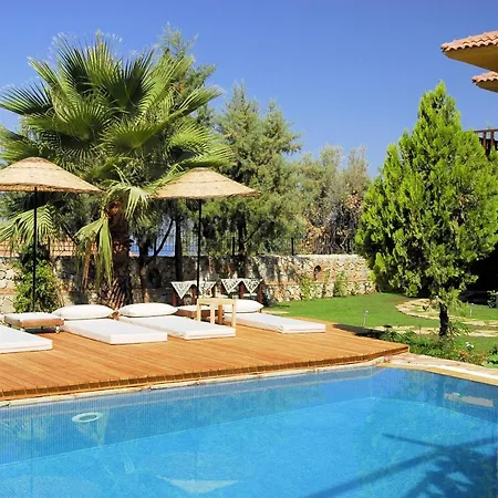 Villa Mandarin *